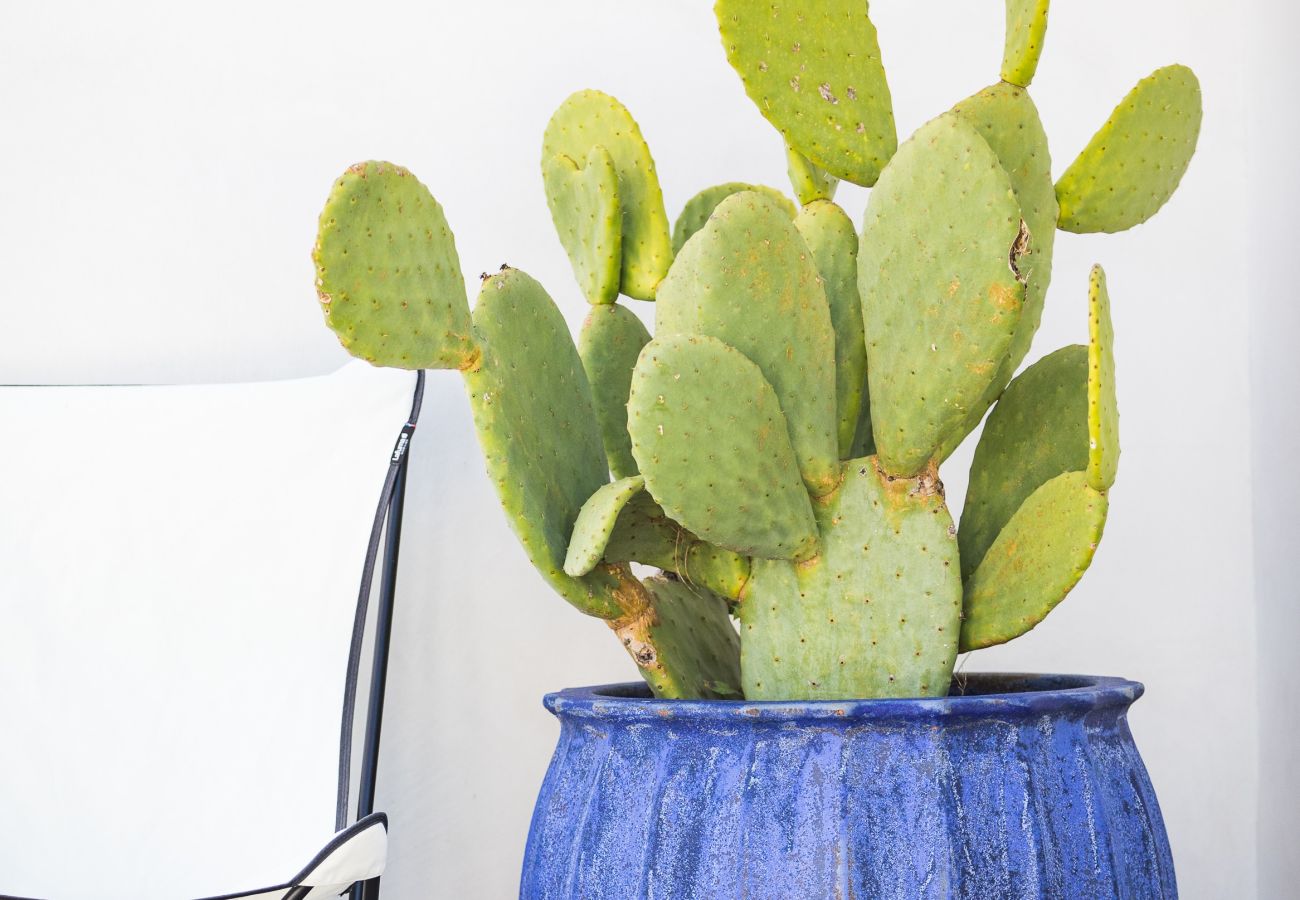 Doppelhaushälfte in Comporta - Azure Beach House