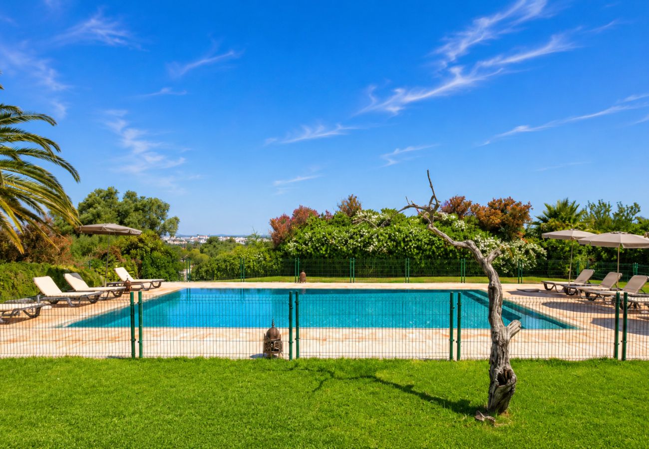 Villa in Salicos - Quinta Salicos