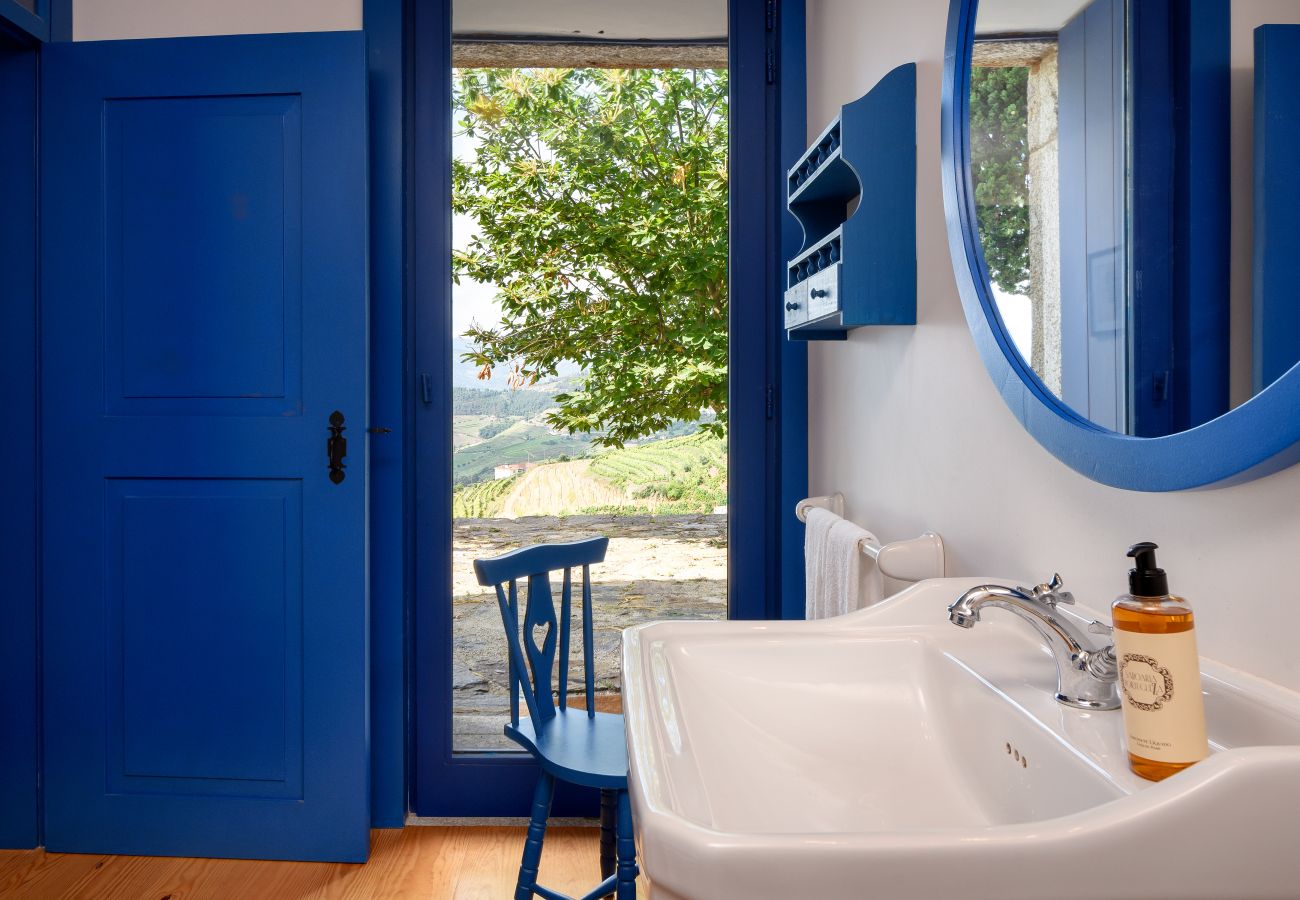 Villa en Mesão Frio - Douro Heights