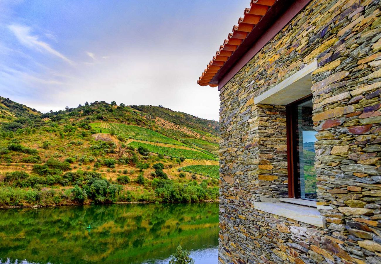 Villa en Vila Real - Douro Vineyard Villa