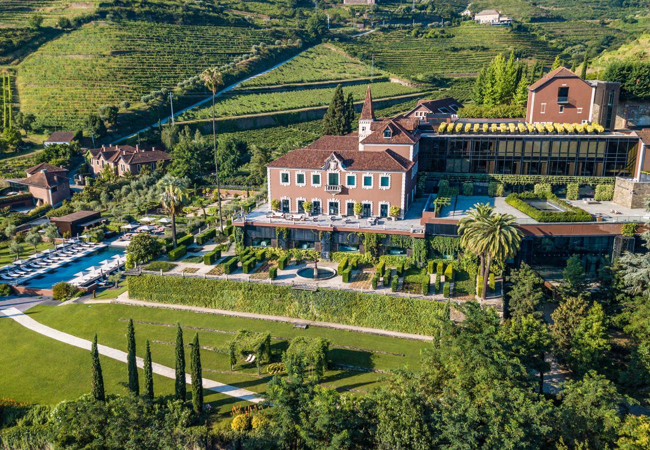 Villa en Samodães - Douro Luxury Escape