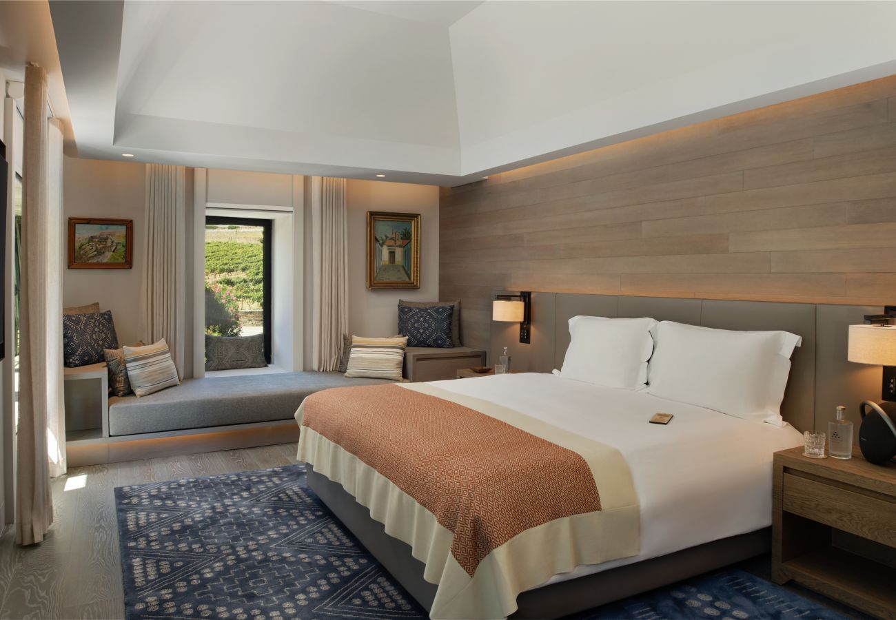 Villa en Samodães - Douro Luxury Escape