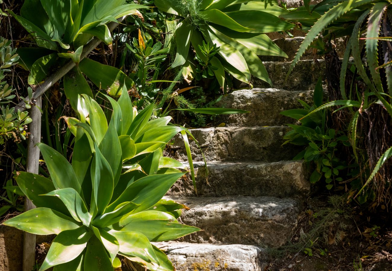 Villa en Sintra - Beachfront Recluse