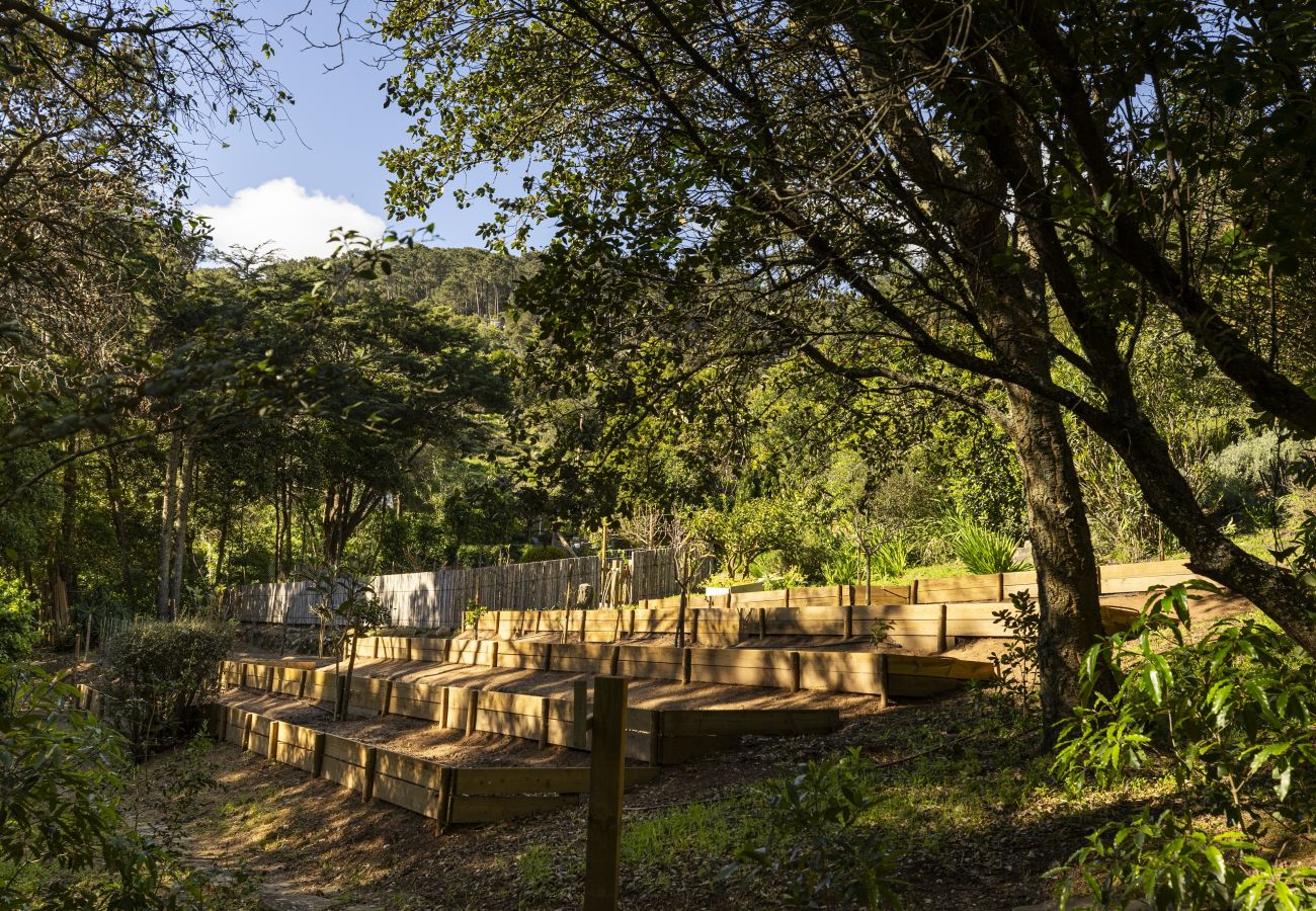 Villa en Malveira da Serra - A Pines & Palms Estate
