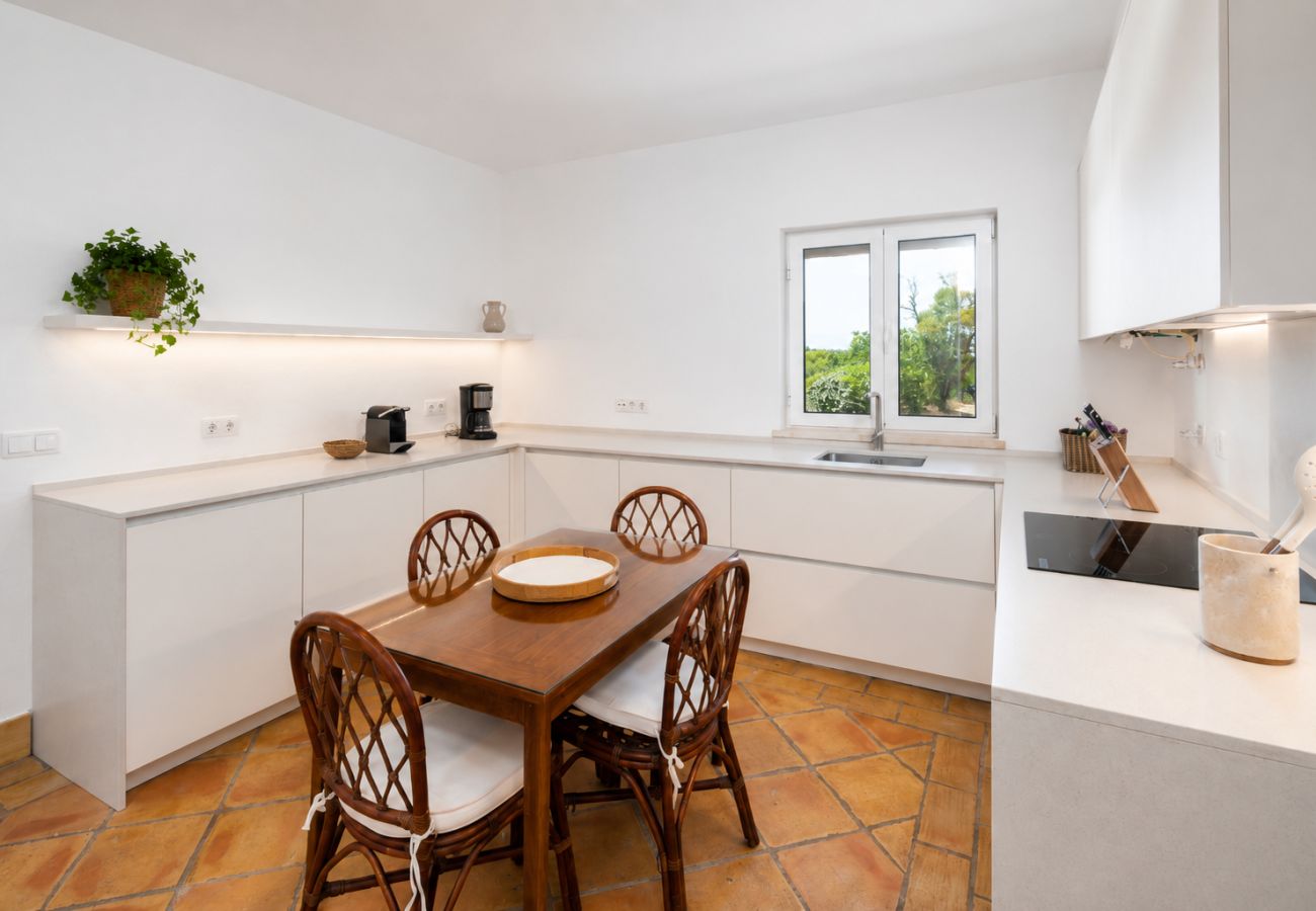 Villa en Salicos - Quinta Salicos