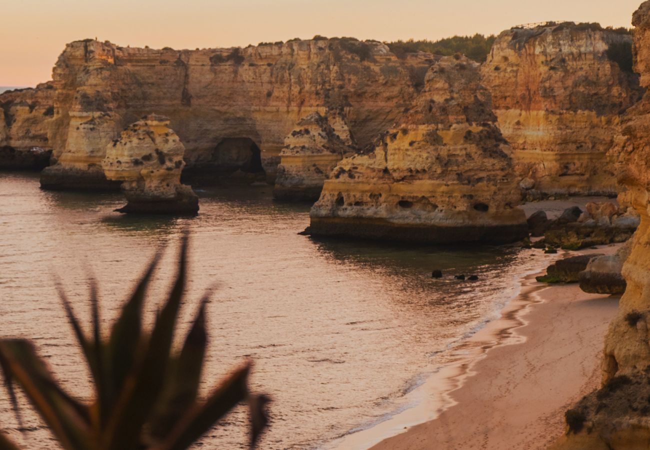 Apartamento en Carvoeiro - Casa Cocoon