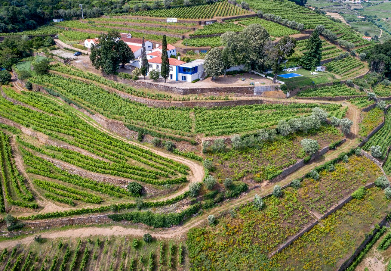 Villa à Mesão Frio - Douro Heights