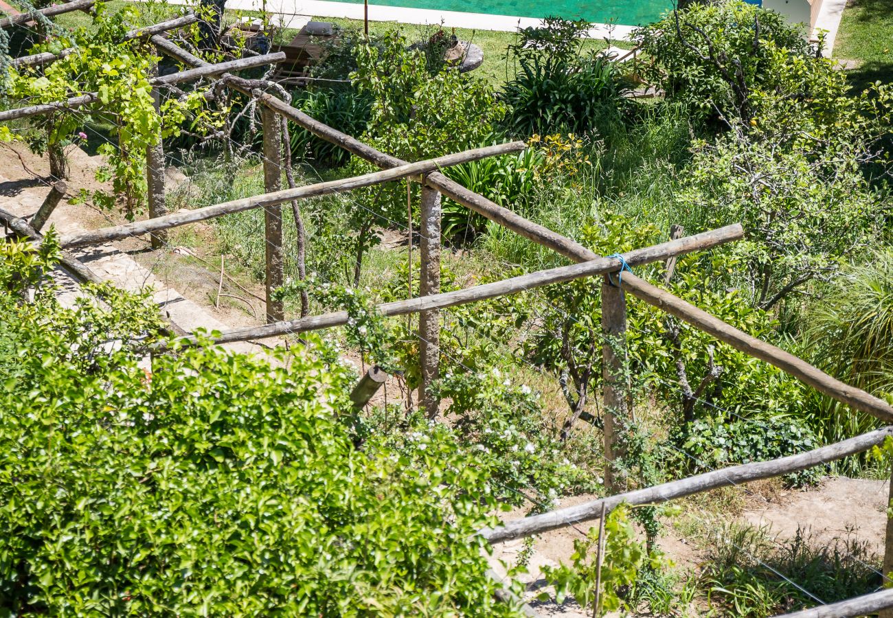 Villa à Cascais - Firefly Quinta