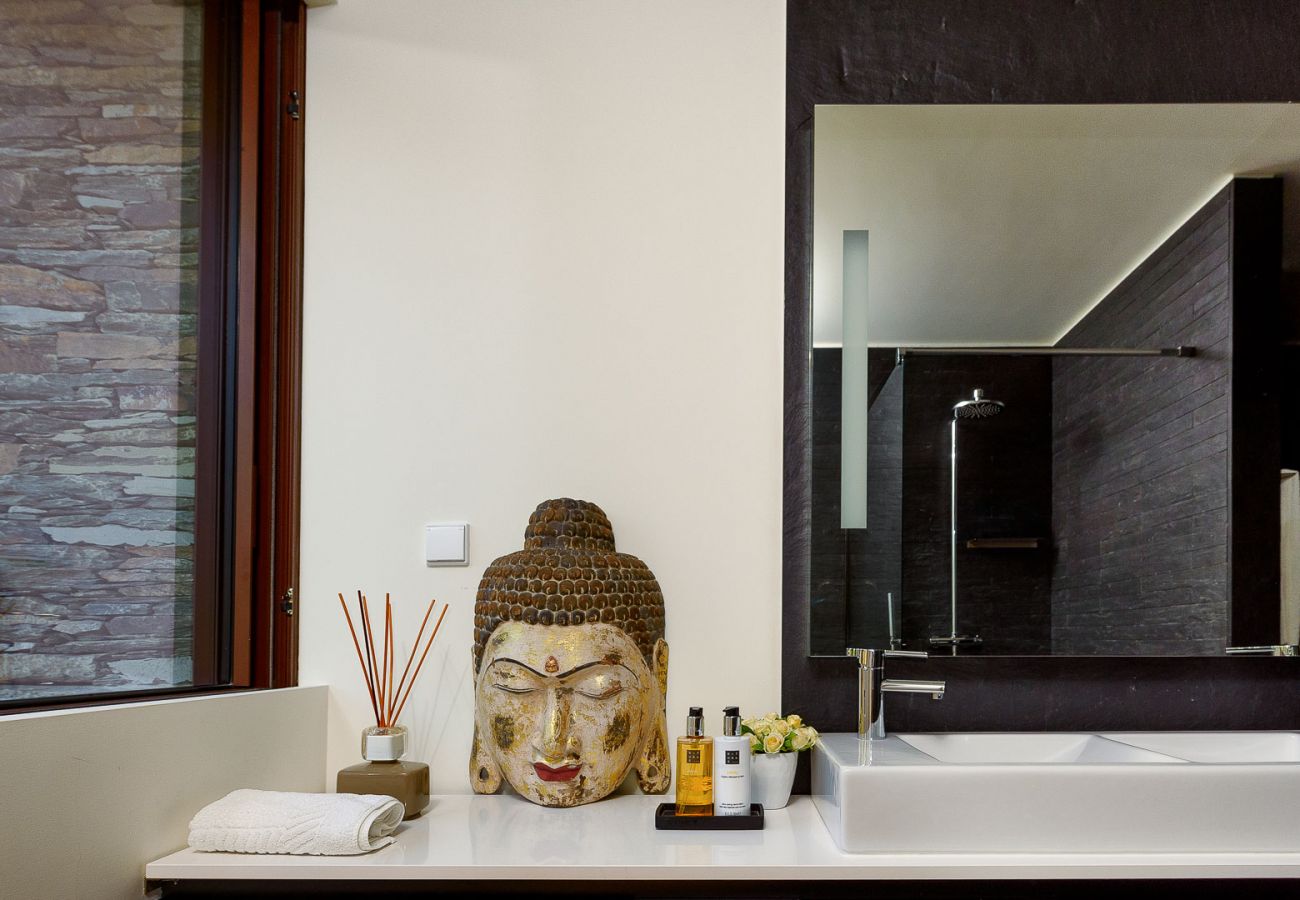 Villa à Vila Real - Douro Vineyard Villa