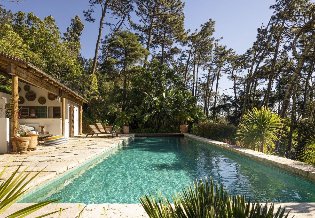 Villa à Malveira da Serra - A Pines & Palms Estate