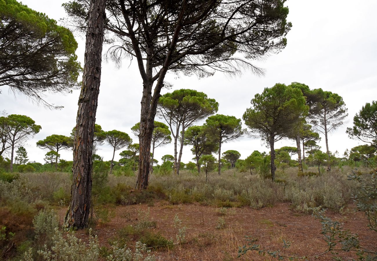 Villa a Comporta - Comporta Glass House