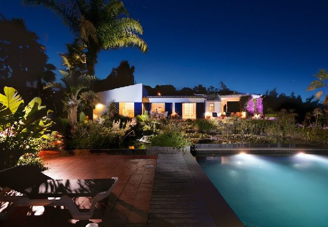 Casa a Monchique - Casa Monchique - Surrounded by nature, Private pool & Tranquillity