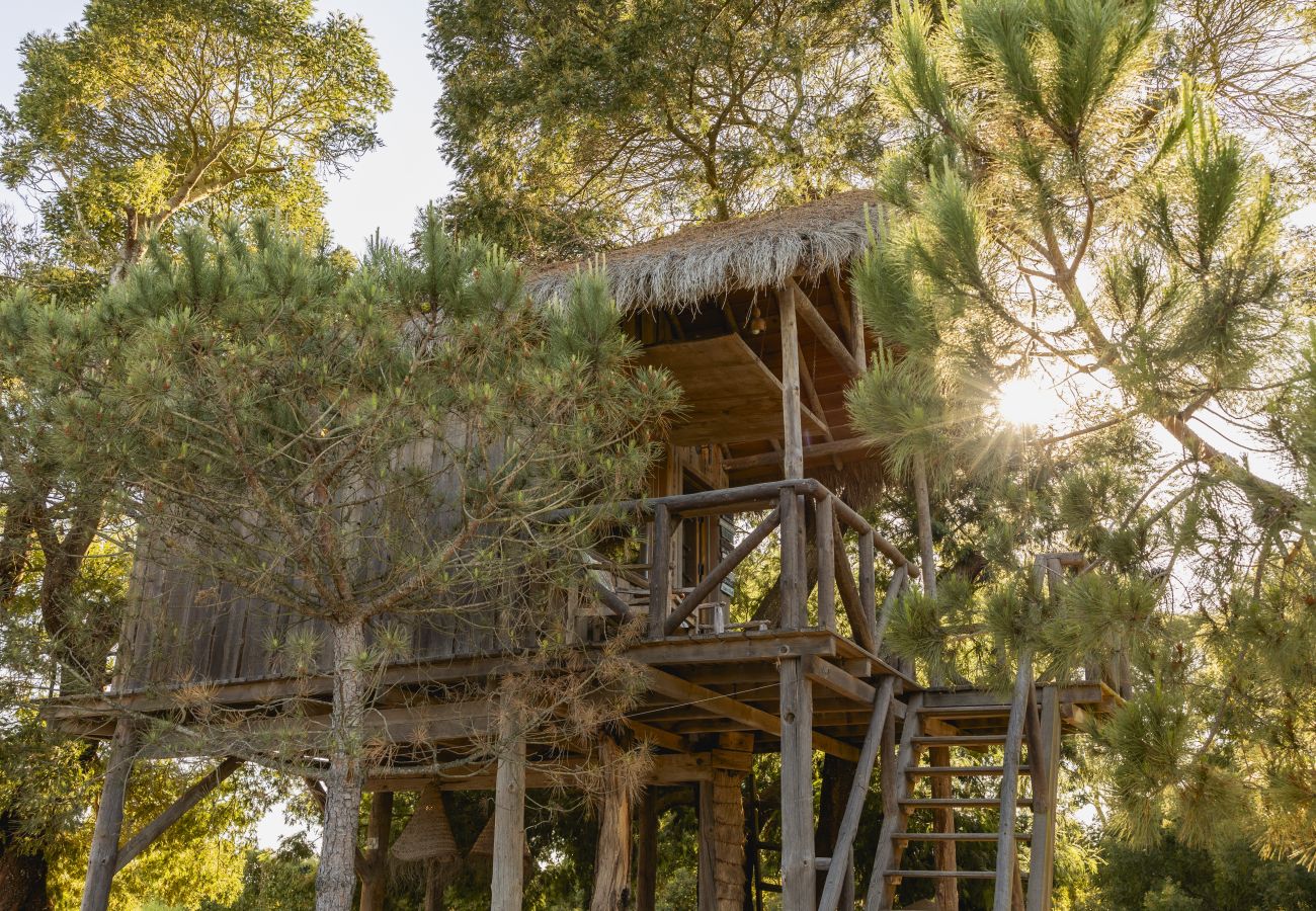 Villa em Comporta - A Comporta Tree House
