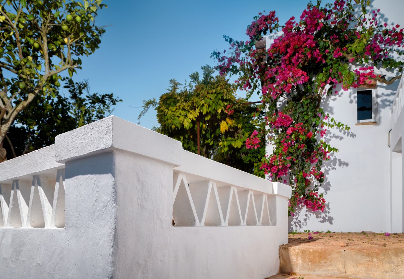 Villa em Santiago do Cacém - Castle House