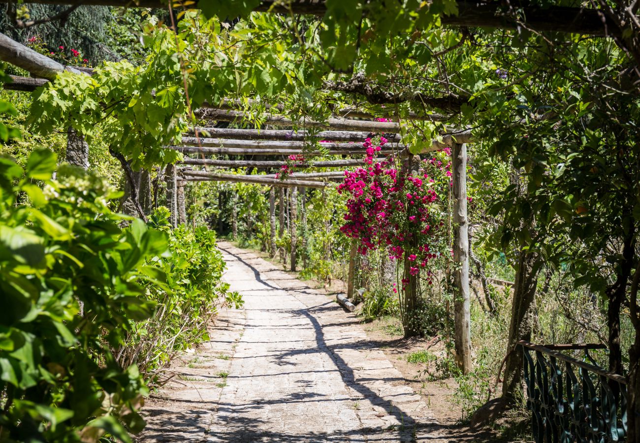 Villa em Cascais - Firefly Quinta