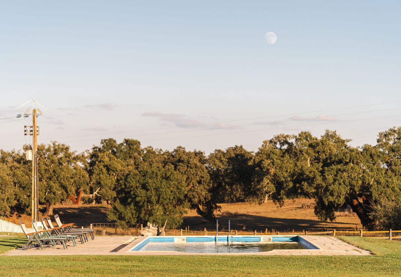 Villa em Ermidas-Sado - Countryside Manor