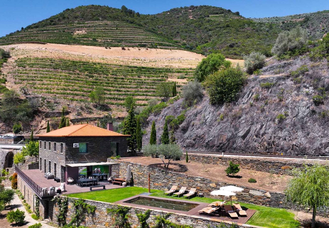 Villa em Vila Real - Douro Vineyard Villa
