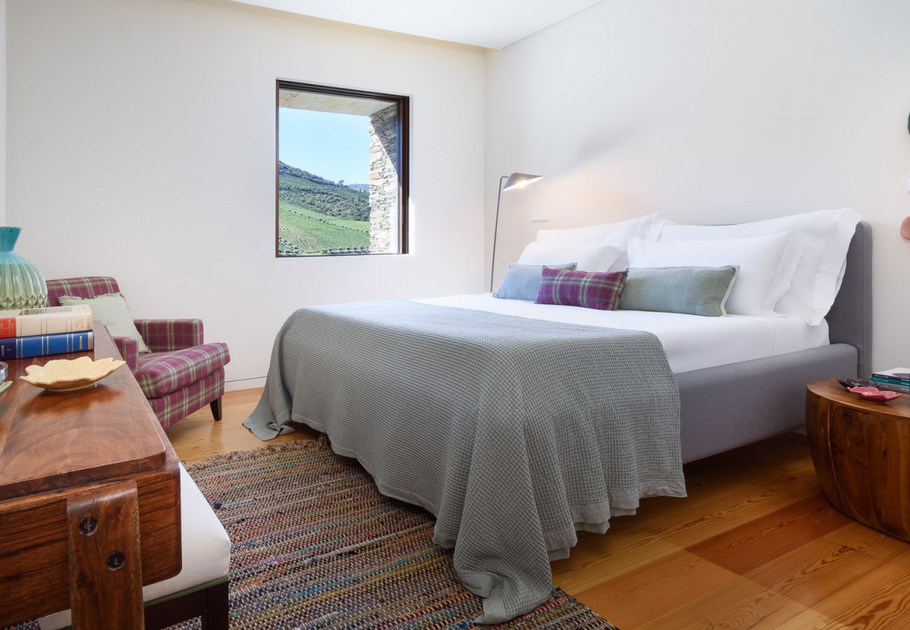 Villa em Vila Real - Douro Vineyard Villa