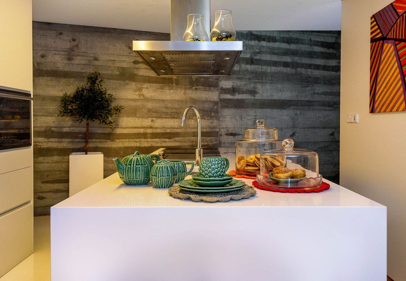 Villa em Vila Real - Douro Vineyard Villa