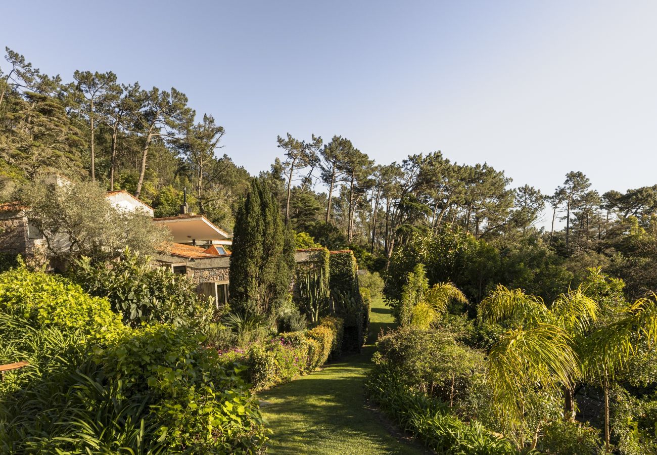 Villa em Malveira da Serra - A Pines & Palms Estate