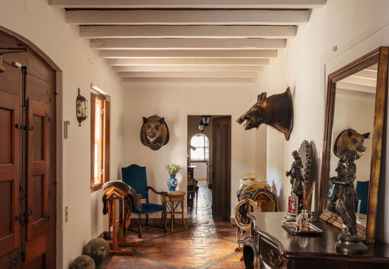 Villa in Azeitão - The Cork Countryside Chalet