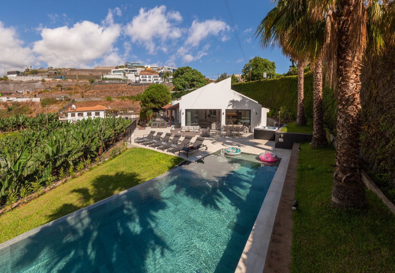 Villa in Funchal - Garden Plantain Villa