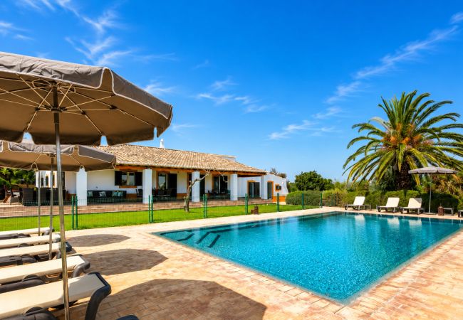 Villa in Salicos - Quinta Salicos